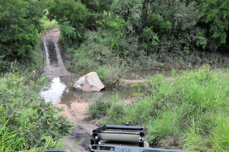 Lion Sands Private game Reserve 